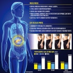 생존율 10% 췌장암, 술·담배가 원인…가족력 없는데 당뇨 생겼다면 의심 | 한국경제 생존율 10% 췌장암, 술·담배가 원인…가족력 없는데 당뇨... 