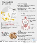 질본 지카바이러스 의심환자 3명, 최종검사서 음성 | 한국경제 질본 지카바이러스 의심환자 3명, 최종검사서 음성