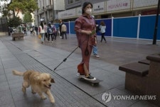 중국 도시들 속속 반려동물 개·고양이 식용 금지 - 부동산 갤러리