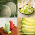 국내산 멜론에 꽂힌 스타벅스·고창 수박에 반한 커피빈 | 한국경제 국내산 멜론에 꽂힌 스타벅스·고창 수박에 반한 커피빈 