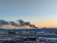 고양 설문동 가구공장 화재…인명피해 없어(종합) | 한국경제 고양 설문동 가구공장 화재…인명피해 없어(종합)