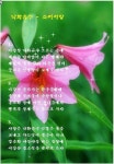 낙화유수 - 하모니카 | 한국경제 낙화유수 - 하모니카