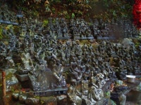 日규슈여행-제3신... 봄비 촉촉한 난조인(南藏院)을 거닐다 | 한국경제 日규슈여행-제3신... 봄비 촉촉한 난조인(南藏院)을 거닐다