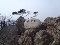 거친듯 포근한 산, 제천 금수산 봄마중 | 한국경제 거친듯 포근한 산, 제천 금수산 봄마중