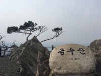 거친듯 포근한 산, 제천 금수산 봄마중 | 한국경제 거친듯 포근한 산, 제천 금수산 봄마중