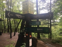 서울둘레길 6일차 - 서초구 양재시민의숲역에서 강동구 고덕역까지 | 한국경제 서울둘레길 6일차 - 서초구 양재시민의숲역에서 강동구 고덕역까지