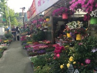 서울둘레길 6일차 - 서초구 양재시민의숲역에서 강동구 고덕역까지 | 한국경제 서울둘레길 6일차 - 서초구 양재시민의숲역에서 강동구 고덕역까지