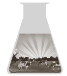 바이오 기업을 향한 대기업의 러브콜… 배양육 시장 선점 경쟁 | 한국경제 [이슈 - ①MARKET] 바이오 기업을 향한 대기업의 러브콜… 배양육... 