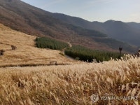 울주 삼동면 일대 울산 알프스 관광단지로 만든다 | 한국경제 울주 삼동면 일대 울산 알프스 관광단지로 만든다