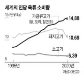 병아리 된지 6주 만에 식탁으로인플레가 부른 닭 수난시대 | 한국경제TV 병아리 된지 6주 만에 식탁으로인플레가 부른 닭 수난시대