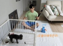 박군 | 텐아시아