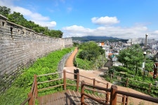 사람 사는 이야기 가득한 낙산 길 | 한국경제 [걷고 싶은 길] 사람 사는 이야기 가득한 낙산 길