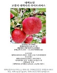 벼농사도 못 짓는 고원도시 태백에서 사과 나온다고? | 한국경제 벼농사도 못 짓는 고원도시 태백에서 사과 나온다고?