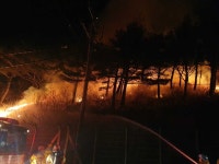 강릉 왕산골 입구 야산서 불…산림 0.18㏊ 소실 | 한국경제 강릉 왕산골 입구 야산서 불…산림 0.18㏊ 소실