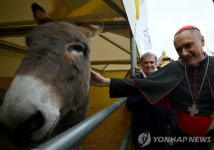 동물에게도 축복을…바티칸서 동물 수호성인 축일 행사 | 한국경제 동물에게도 축복을…바티칸서 동물 수호성인 축일 행사