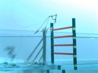 물 위에서 50cm 폴짝…세계 최고 기록 경신 로봇 나왔다 | 한국경제 물 위에서 50cm 폴짝…세계 최고 기록 경신 로봇 나왔다