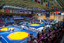 춘천시 태권도 성지 변모…내달 오픈대회·문화축제 열린다 | 한국경제 춘천시 태권도 성지 변모…내달 오픈대회·문화축제 열린다