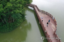 광주 풍암호수공원 여름 불청객 녹조 올해도 되풀이 | 한국경제 광주 풍암호수공원 여름 불청객 녹조 올해도 되풀이