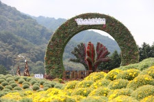 낭만 가득 꽃길만 걷자 인제 가을꽃축제 손님맞이 준비 끝 | 한국경제 낭만 가득 꽃길만 걷자 인제 가을꽃축제 손님맞이 준비 끝