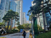 안전진단∼입주까지 56개월…대치동부센트레빌 초고속 재건축 비결 | 한국경제 안전진단∼입주까지 56개월…대치동부센트레빌 초고속 재건축... 