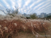 대구·경북 구름 많다가 밤부터 맑아져…낮 기온 11∼16도 | 한국경제 대구·경북 구름 많다가 밤부터 맑아져…낮 기온 11∼16도