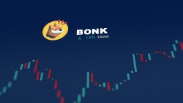 봉크(BONK)부터 코크이누(COQ)까지…진화하는 밈코인 열풍 | 한국경제 봉크(BONK)부터 코크이누(COQ)까지…진화하는 밈코인 열풍