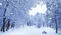 부분과 전체가 닮은 프랙털, 반복 규칙 있어 | 한국경제 [재미있는 수학] 부분과 전체가 닮은 프랙털, 반복 규칙 있어
