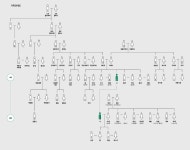 혈연·혼인을 넘어 사회적 관계로…가족 개념은 어떻게 변했나 | 한국경제 혈연·혼인을 넘어 사회적 관계로…가족 개념은 어떻게 변했나