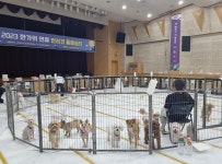 명절엔 구청강당이 반려견호텔로…노원구 돌봄쉼터 운영 | 한국경제 명절엔 구청강당이 반려견호텔로…노원구 돌봄쉼터 운영