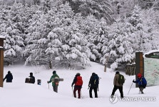동해안은 온통 눈꽃 세상…은빛 설경 볼 마지막 기회 | 한국경제 동해안은 온통 눈꽃 세상…은빛 설경 볼 마지막 기회