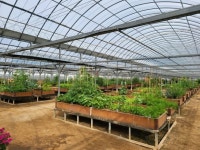 도심 속 내가 키우는 농산물…양산 공영도시농업농장 텃밭 분양 | 한국경제 도심 속 내가 키우는 농산물…양산 공영도시농업농장 텃밭 분양