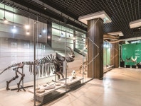 태백 여행의 모든 것 한 장 여행 강원도 태백 편 | 한국경제 태백 여행의 모든 것 한 장 여행 강원도 태백 편