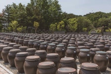 파주 | 한국경제 [한 장 여행] 파주