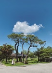익산 여행의 모든 것 한 장 여행 전북 익산 편 | 한국경제 익산 여행의 모든 것 한 장 여행 전북 익산 편