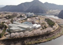 영양 선바위관광지 | 한국경제 영양 선바위관광지