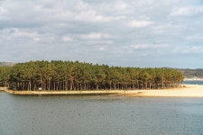 울진 월송정 | 한국경제 울진 월송정