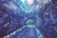 여수 아쿠아플라넷 | 한국경제 여수 아쿠아플라넷