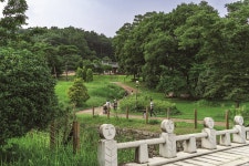 수달은 섬진강에, 홍길동은 우리 마음 속에 전남 구례·곡성·장성 한 바퀴 | 한국경제 수달은 섬진강에, 홍길동은 우리 마음 속에 전남 구례·곡성... 