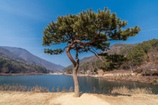 물길따라 철새따라’ 완주로 힐링 여행 떠나요 | 한국경제 ‘물길따라 철새따라’ 완주로 힐링 여행 떠나요