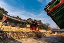 물길따라 철새따라’ 완주로 힐링 여행 떠나요 | 한국경제 ‘물길따라 철새따라’ 완주로 힐링 여행 떠나요