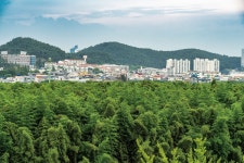 고래도시, 공업도시, 철새도시, 모두 모여 울산 남구 | 한국경제 고래도시, 공업도시, 철새도시, 모두 모여 울산 남구
