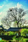 평화와 전쟁 그리고 미국이란 카테고리 / 경북 칠곡 명장면 여행 | 한국경제 평화와 전쟁 그리고 미국이란 카테고리 / 경북 칠곡 명장면 여행