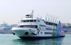 울산 남구 고래바다여행선 | 한국경제 울산 남구 고래바다여행선