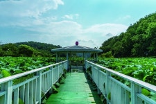 울산 남구 선암호수공원 | 한국경제 울산 남구 선암호수공원