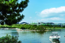 울산 남구 처용암 | 한국경제 울산 남구 처용암