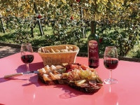 소믈리에들에게도 생소한 스위스 와인을 맛보러 가는 길 | 한국경제 소믈리에들에게도 생소한 스위스 와인을 맛보러 가는 길