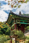 하룻밤의 시간이지만 잊히지 않아서, 강진으로 | 한국경제 하룻밤의 시간이지만 잊히지 않아서, 강진으로