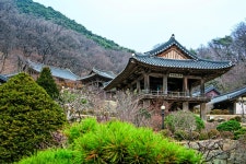 영주 여행의 모든 것 한 장 여행 영주 편 | 한국경제 영주 여행의 모든 것 한 장 여행 영주 편