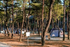 영주 영주호오토캠핑장 | 한국경제 영주 영주호오토캠핑장