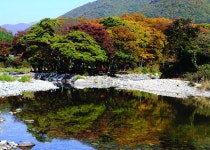 자연이 빚은 여행의 참멋, 경남 양산 | 한국경제 자연이 빚은 여행의 참멋, 경남 양산